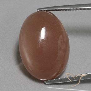 18.61ct 자연스러운 미디엄 브라운 월장석, 타원형, 투명한