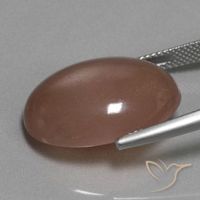 18.61캐럿 천연 미디엄 브라운 월장석, 타원형, 투명한