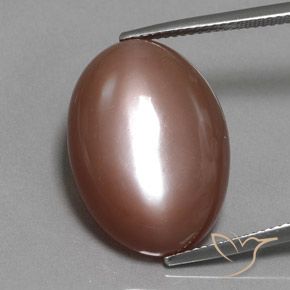 19.77ct 자연스러운 웜 브라운 월장석, 타원형, 불투명체