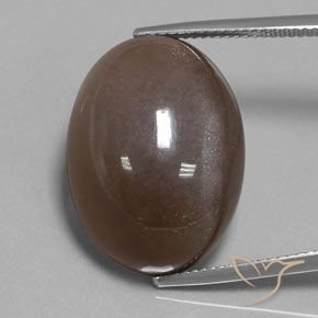 30.12ct 자연스러운 초콜릿 브라운 월장석, 타원형, 불투명체