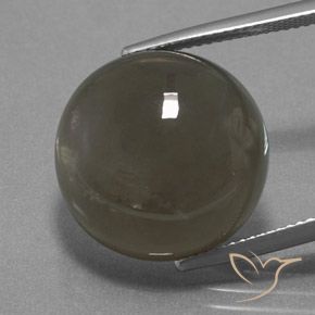 18.40ct 자연스러운 그레이 브라운 월장석, 둥근, 투명한