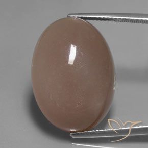27.83ct 자연스러운 연한 갈색 월장석, 타원형, 투명한
