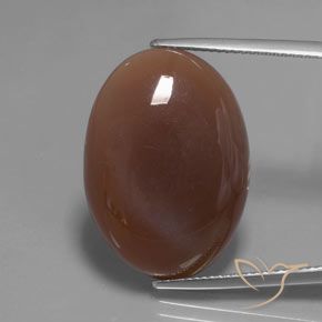 22.04ct 자연스러운 미디엄 브라운 월장석, 타원형, 투명한