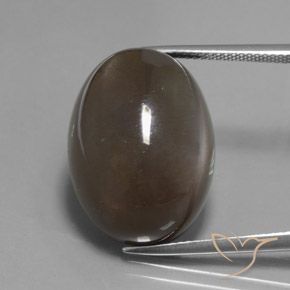 27.12ct 자연스러운 엄버 브라운 월장석, 타원형, 투명한