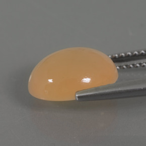 3.70캐럿 천연 오렌지 크림 문스톤, 타원형 컷, 11.2×9.1 mm, 투명한