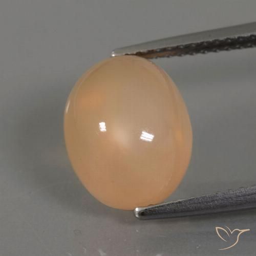 4.41ct 자연스러운 미디엄 오렌지-골드 월장석, 타원형, 투명한