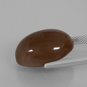 20.25캐럿 천연 초콜릿 브라운 문스톤, 타원형 컷, 불투명체