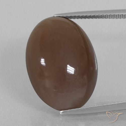 22.40ct 자연스러운 미디엄 브라운 월장석, 타원형, 불투명체