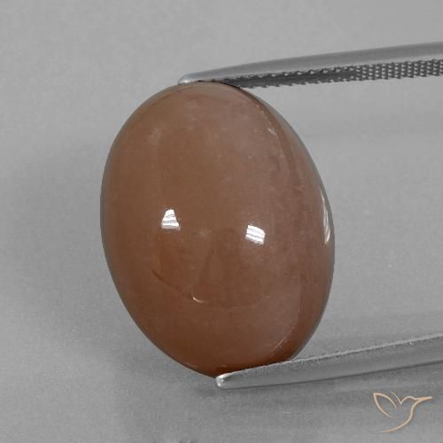 21.86ct 자연스러운 갈색 월장석, 타원형, 불투명체