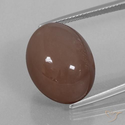25.76ct 자연스러운 에스프레소 브라운 월장석, 타원형, 불투명체