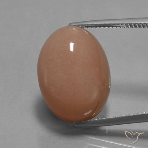18.19ct 자연스러운 사이다 오렌지 월장석, 타원형, 불투명체