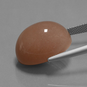24.57캐럿 천연 사이다 오렌지 월장석, 타원형 컷, 불투명체