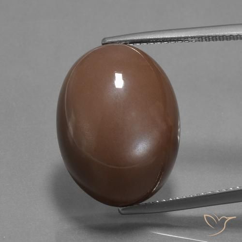 20.43ct 자연스러운 미디엄 브라운 월장석, 타원형, 불투명체