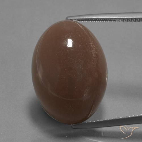 22.67ct 자연스러운 미디엄 브라운 월장석, 타원형, 불투명체