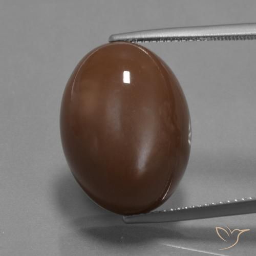 22.27ct 자연스러운 미디엄 브라운 월장석, 타원형, 불투명체