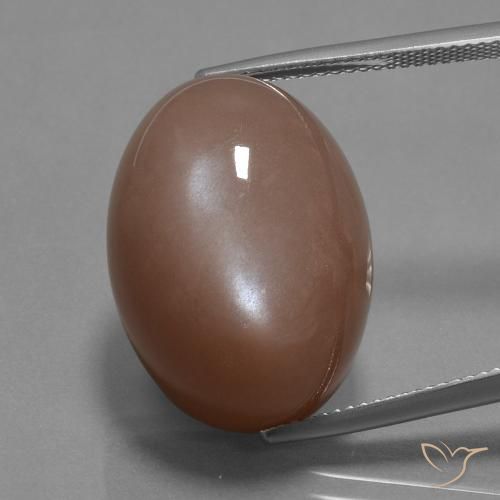 30.59ct 자연스러운 미디엄 브라운 월장석, 타원형, 불투명체