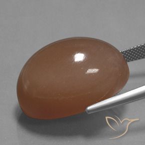 44.65캐럿 천연 웜 브라운 월장석, 타원형 컷, 불투명체