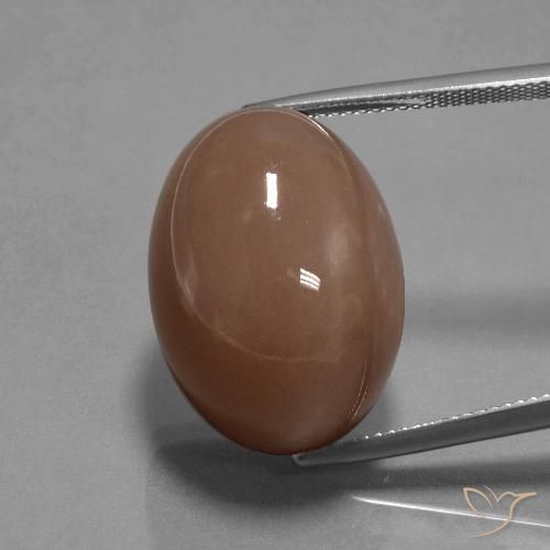 35.65ct 자연스러운 미디엄 브라운 월장석, 타원형, 불투명체