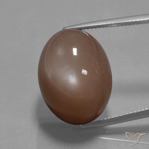 34.59ct 자연스러운 미디엄 브라운 월장석, 타원형, 불투명체