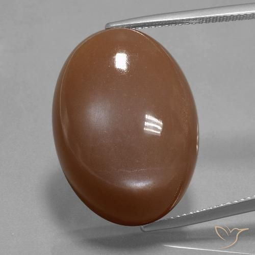 33.40ct 자연스러운 웜 브라운 월장석, 타원형, 불투명체