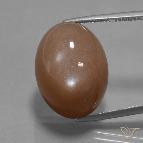 32.77ct 자연스러운 웜 브라운 월장석, 타원형, 불투명체