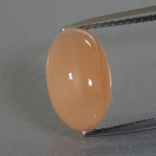 3.49캐럿 천연 멜론 오렌지 문스톤, 타원형 컷, 11.7×7.2 mm, 투명한