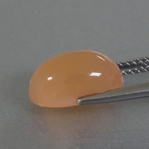 3.49캐럿 천연 멜론 오렌지 문스톤, 타원형 컷, 11.7×7.2 mm, 투명한