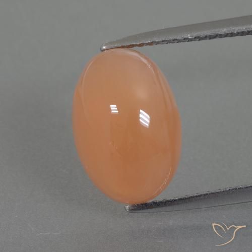 4.99ct 자연스러운 미디엄 오렌지 월장석, 타원형, 투명한