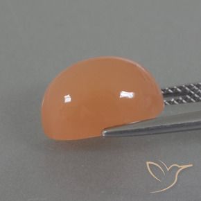 4.99캐럿 천연 미디엄 오렌지 월장석, 타원형, 투명한