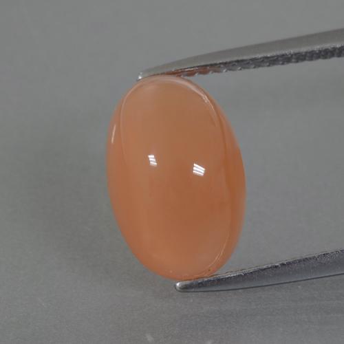 4.42캐럿 천연 피치 오렌지 월장석, 타원형 컷, 투명한