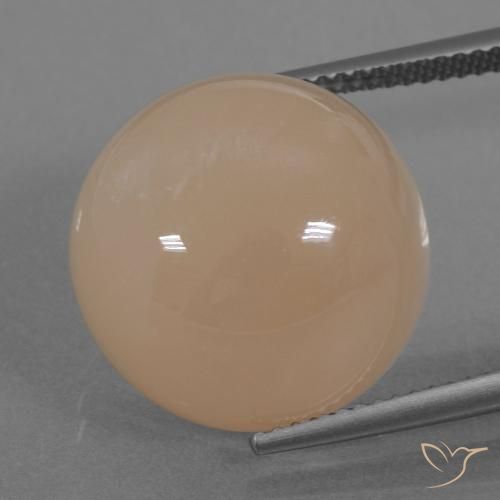 19.74ct 자연스러운 라이트 오렌지 월장석, 둥근, 투명한