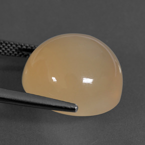 16.94캐럿 천연 미디엄 오렌지 월장석, 라운드 컷, 투명한