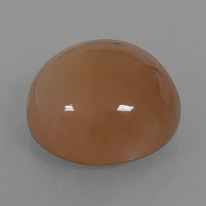 23.28캐럿 천연 웜 브라운 월장석, 라운드 컷, 투명한