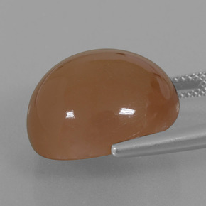23.28캐럿 천연 웜 브라운 월장석, 라운드 컷, 투명한