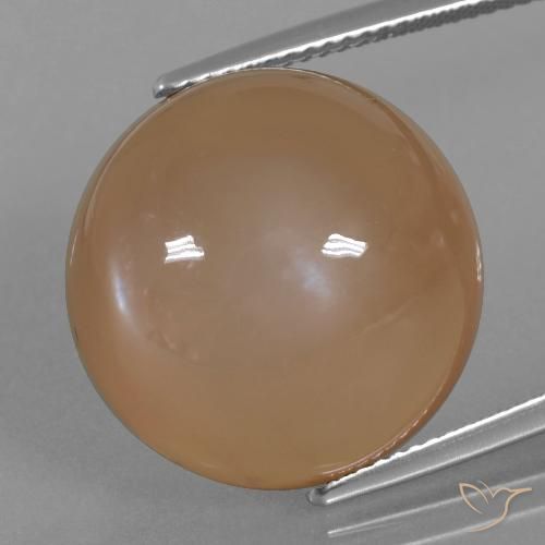 24.65ct 자연스러운 캐러멜 브라운 월장석, 둥근, 투명한