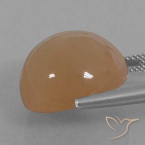 24.65캐럿 천연 캐러멜 브라운 월장석, 둥근, 투명한