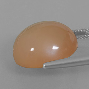 21.29캐럿 천연 멜론 오렌지 문스톤, 라운드 컷, 18.05 mm, 투명한