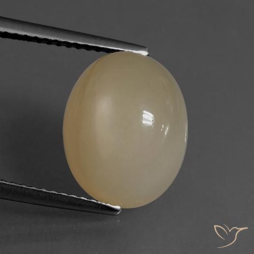6.84ct 자연스러운 미디엄 라이트 브라운 월장석, 타원형, 투명한