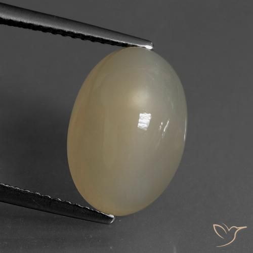 6.82ct 자연스러운 라이트 또띠아 브라운 월장석, 타원형, 투명한