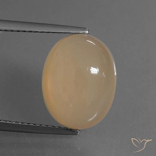 6.15ct 자연스러운 멜론 오렌지 월장석, 타원형, 투명한