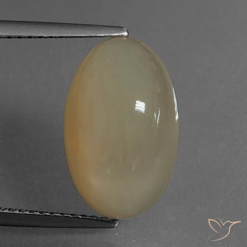 6.93ct 자연스러운 라이트 웜 브라운 월장석, 타원형, 투명한
