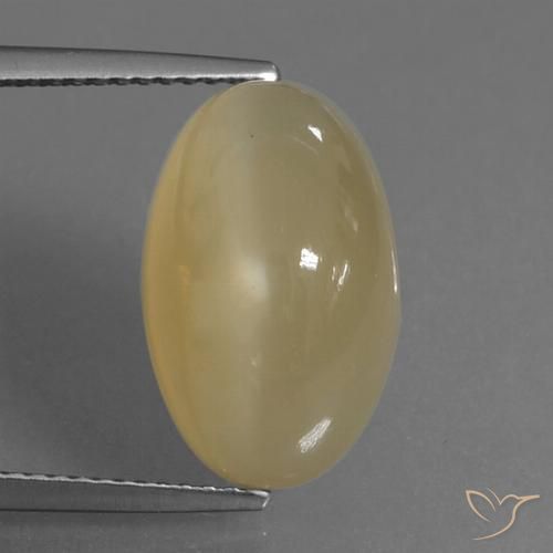 8.83ct 자연스러운 페일 브라운 월장석, 타원형, 투명한