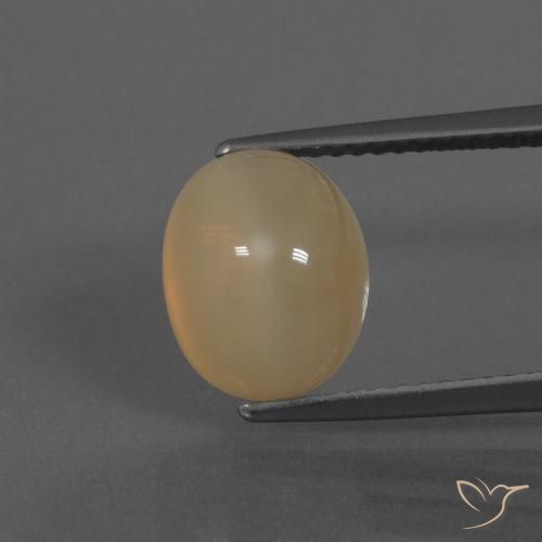 4.72ct 자연스러운 미디엄 오렌지-골드 월장석, 타원형, 투명한