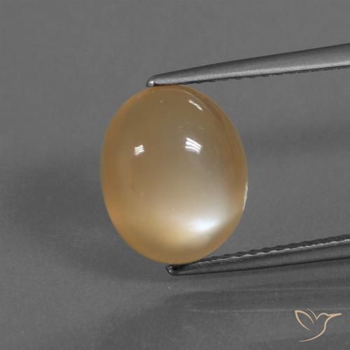 4.18ct 자연스러운 오렌지 크림 월장석, 타원형, 투명한