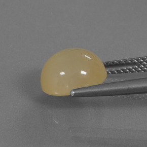 3.37캐럿 천연 골든 월장석, 라운드 컷, 투명한