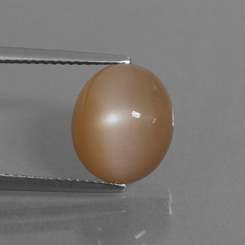 6.30캐럿 천연 땅콩 브라운 월장석, 타원형 컷, 투명한