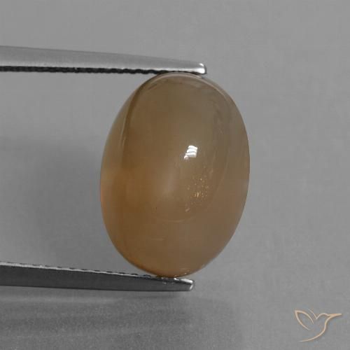 9.55ct 자연스러운 라이트 캐러멜 브라운 월장석, 타원형, 투명한