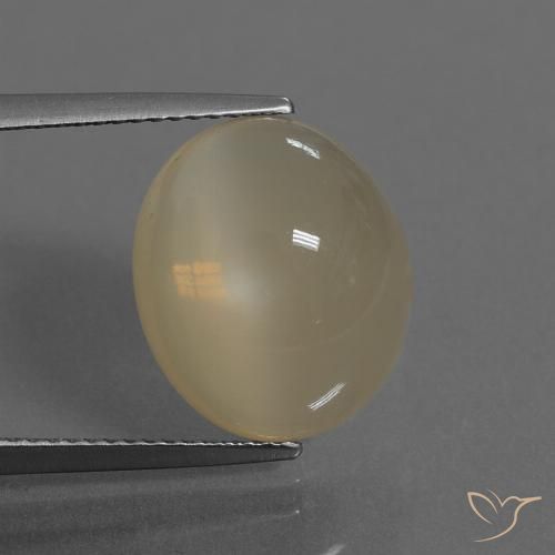 7.46ct 자연스러운 라이트 커피 브라운 월장석, 타원형, 투명한