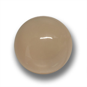 24.50캐럿 천연 라이트 커피 브라운 문스톤, 라운드 컷, 18.09 mm, 투명한