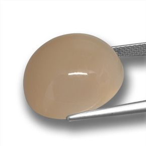 24.50캐럿 천연 라이트 커피 브라운 문스톤, 라운드 컷, 18.09 mm, 투명한